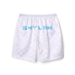SKYLRK CHECKER SHORT MIST - Image 2